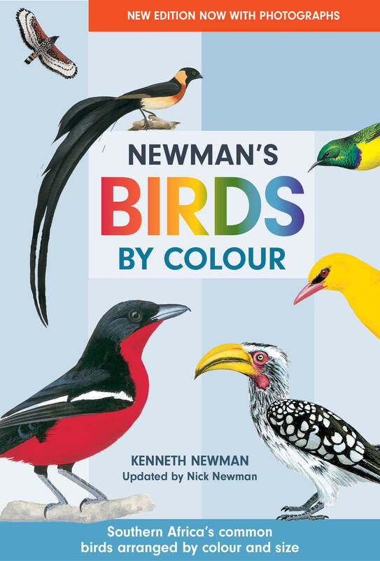 Nick Newan Birds